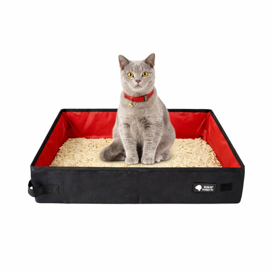 Portable Cat Litter Box