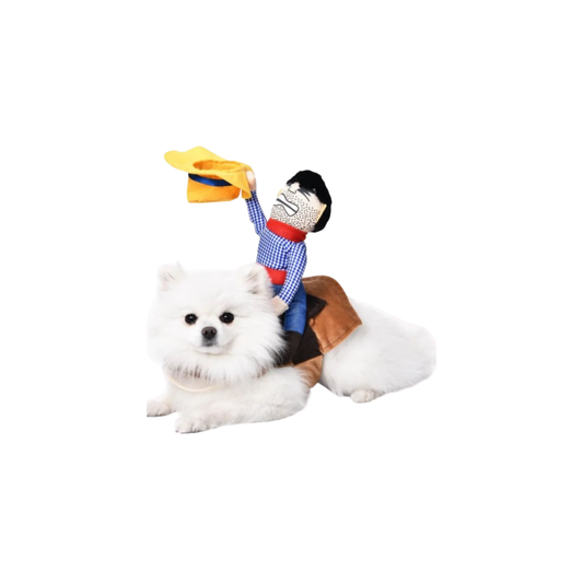 Funny Pet Costume