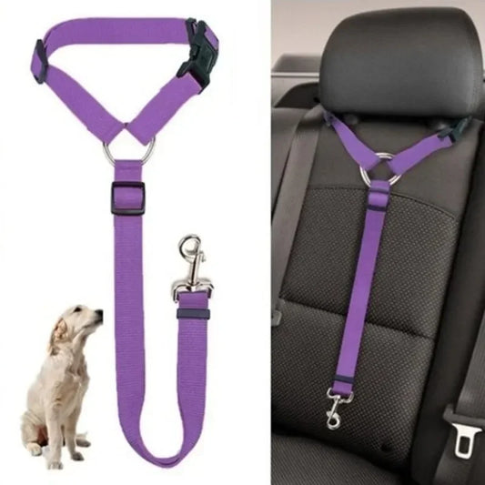 Car Safety Belt Attachment
